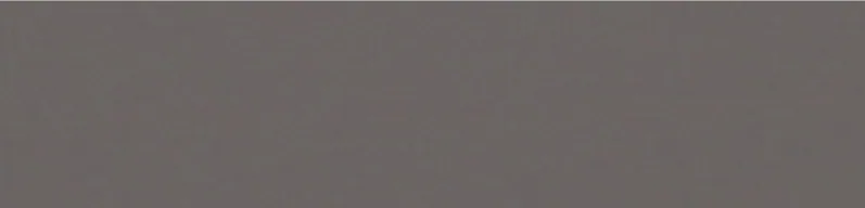 Warm Taupe Grey Solid RAO969 Warm taupe grey