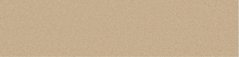 Golden Sand Beige Solid RAO979 Golden sand beige