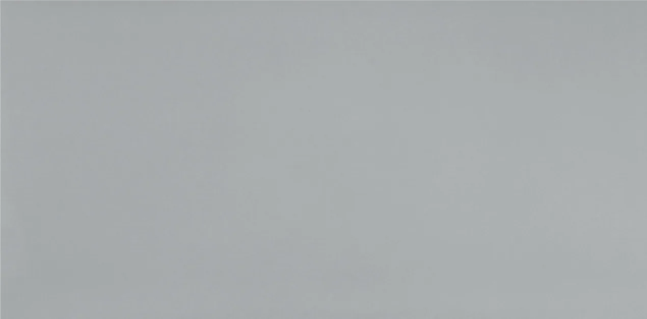 Cool Light Grey Mineral RK1001 Cool light grey