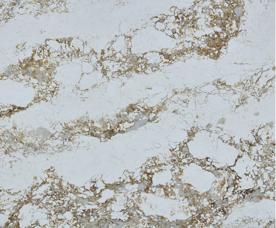 Warm Ivory Cloud RY8010 Warm ivory and beige